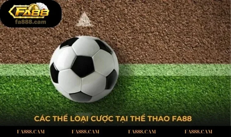 cac the loai cuoc tai the thao Các thể loại cược tại Thể Thao FA88